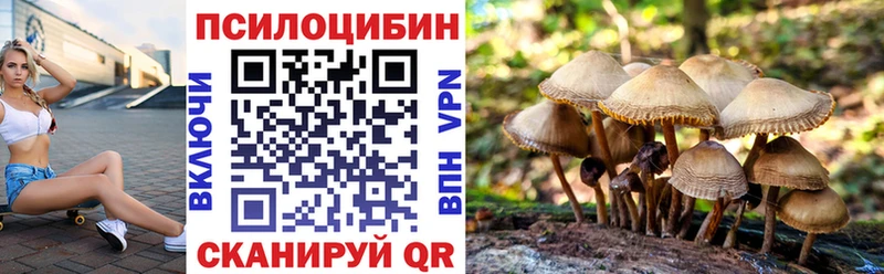 блэк спрут рабочий сайт  Костерёво  Псилоцибиновые грибы MAGIC MUSHROOMS 